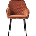 AINPECCA 1X Dining Chair Orange Velvet Armchair with Armrest & Backrest Upholstered Seat with Black Metal Legs (Orange Vevlet,1)