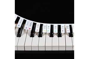 JIYIN Removable Piano Keyboard Note Labels, 88 Key Full Size Silicone Piano Keyboard Labels for Beginners, Colourful Pianos Key Music Notes Letter Label Reusable with Box(Rainbow)