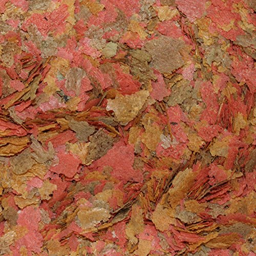 Söll 16137 Organix Flakes – Hauptfutter für Zierfische – Aquariumfutter – Zierfischfutter – Flockenfutter – 490 ml - 5