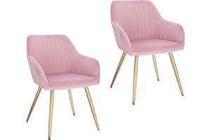 Lestarain Lot de 2 Chaise de Salle à Manger Fauteuil de Salle à Manger en Velours et Métal,Fauteuil Scandinave Chaise de Cuisine,Rose