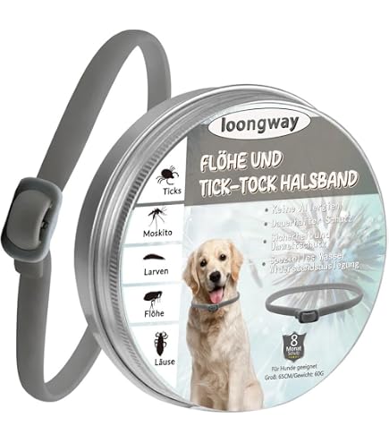 köder angeln Angelherz® Shockvibe – Zikaden Köder für Barsch & Zander main image 1