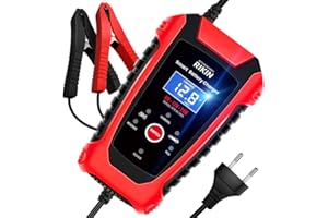 RIKIN Cargador de Batería Coche 6A 6V/12V/24V Cargador Rápido Automático Protección Múltiple con Pantalla LCD para Motos Automóviles Barco