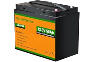 ECO-WORTHY LiFePO4 12V 50Ah mit 50A BMS und Max.15000 Zyklen,640Wh Lithium Batterie 12V 50Ah für Trolling-Motor,Boot,Wohnmobile,Solarpanel