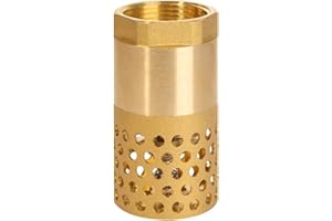 ROOWARMER Clapet anti-retour pompe 1/2 3/4 1 1-1/4 1-1/2 2 2-1/2 3 pouce - clapet de pied clapet crepine anti retour (1-1/4 pouce)