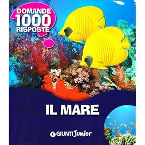 Il mare