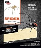  Incredibuilds. Spider 3D Wood Model