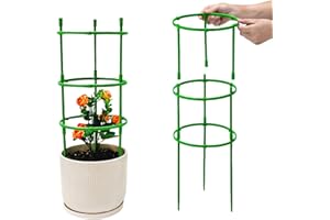 YEJAHY 200 pezzi per pomodoro, supporto per piante per pomodoro, supporto per rampicanti, supporto per piante e piante utili, set da 6 pezzi (100 anelli + 100 aste)