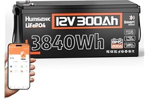 Humsienk LiFePO4 Batteria al Litio 12V 300Ah con Bluetooth, Protezione BMS 200A a Bassa Temperatura, fino a 15000 Cicli, 3840 Wh di energia per Camper, Barca, Sistema Solare, Off-Grid