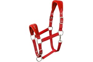 AK RIDING SPORTS AK Licol pour Cheval Doux et Rembourré Confort Supérieur avec Rembourrage, Sangles Réglables à la Muserolle et à la Nuque Licol Doux, Résistant et Sécurisé pour Chevaux 6070 (Rouge, Full/ (L))
