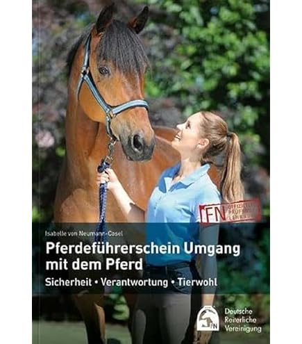Paarden Adventskalender Winterhemel Design - 24 Dagen Verrassingen Voor Ruiters & Paardeneigenaren