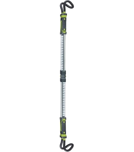 Ring Rw501cbled Lámpara 12 V, LED W5 W 6000 K, Juego De 2