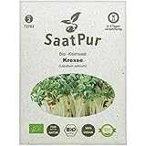 Kresse BIO Keimsprossen von SaatPur - Sprossen Keimsaat, Microgreen - 75g