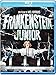 Frankenstein Junior (Special Edition 40° Anniversario)