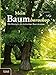 Mein Baumhoroskop: Die Weisheit des keltischen Baumkreises by