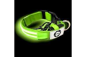TDL MARKET TDL Collare LED Luminoso per Cani | Impermeabile | Ricaricabile USB | Addestramento e Passeggiate Notturne | 3 modalità di Funzionamento | Batteria a Lunga Durata (M, Verde)