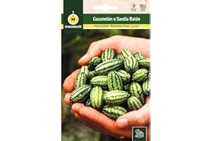 M MASCARELL SEMILLAS DESDE 1920 Mascarell Semillas, SANDÍA, Semillas Huerto, CUCAMELON-SANDIA RATON, Crea tu Propio Huerto Urbano y Cultivo en Casa, Semillas de Cucamelón Orgánica, Plantas Hortícolas, 0,05 Gramos
