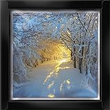 Christmas Card Box - Snowy Woods - 16 glitter, luxury Christmas cards