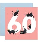 Funny Cat 60th Birthday Card For Women - 'Fabulous At 60' Sixtieth Birthday Greeting Card With Envelope
