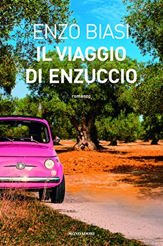 Il viaggio di Enzuccio