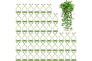 Mikiuly Clip Plante Grimpante,50 Pièces Attache Plante Grimpante,Clip Plante Grimpante Mur,Clip de Support pour Plantes Grimpantes,Clips de Plante Auto-adhésif, pour Support des Plantes de Jardinage