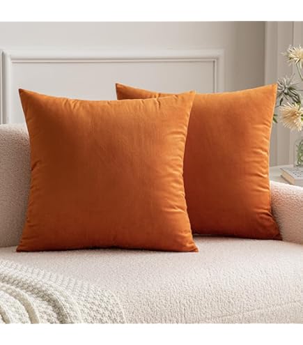 Federe Cuscini Decorativi 30x50cm - 2 Pezzi In Poliestere Per Divano E Letto