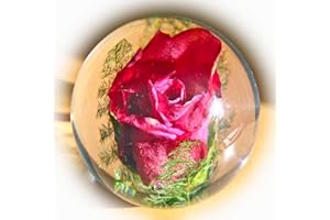 LAUSCHAER GLASKUNST-BRIEFBESCHWERER Briefbeschwerer Rose