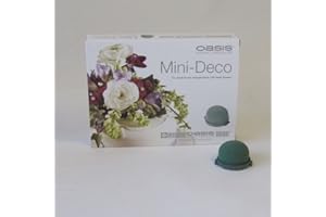 FLORISTRYWAREHOUSE Smithers Oasis Mini Deco Premium Boîte de 12 Sachet de mariage