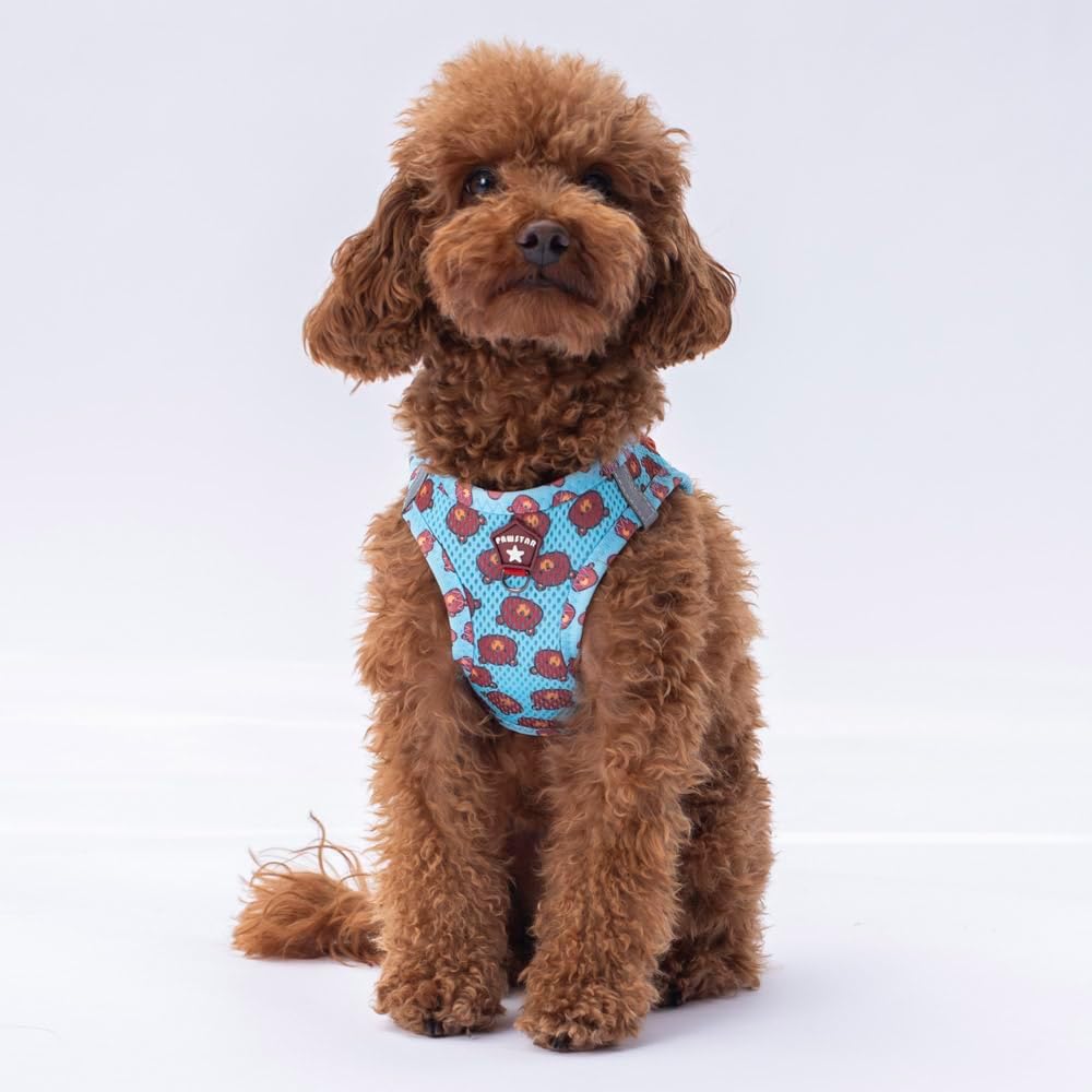 Pawstar Air-Mesh Poodle Köpek Göğüs Tasması (S) - Görsel 3