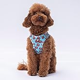 Pawstar Air-Mesh Bears Dog Collar (XS)