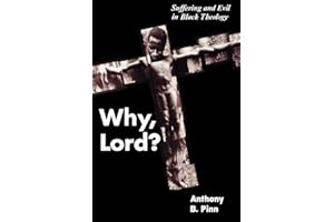 Why, Lord?: Suffering and Evil in Black Theology