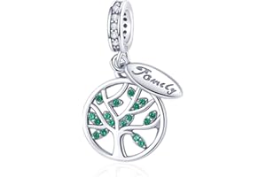 H.ZHENYUE Jewelry Family Heart Beads fit Bracelet Necklace for Woman Girls,925 Sterling Silver Pendant Beads with Cubic Zirconia,Happy Birthday Christmas Halloween Valentine's Day Gifts