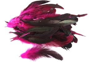 Mnixy Queue de Coq Naturelle, décoration, Coiffe, 50 Plumes Rouge-Rose, Taille Unique