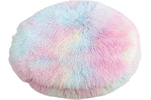 RICHRAIN Plüsch-Kissen für Katzen und Hunde, rund, warme Haustiermatte, PP-Baumwolle, weich und bequem, für Wohnzimmer, Größe S 37 cm, Regenbogenfarben