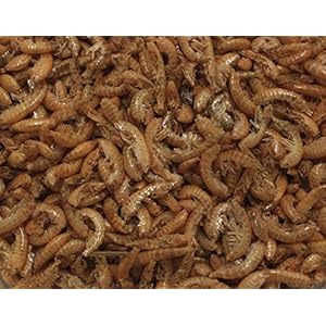 250 ml Gammarus - Premium Bachflohkrebse