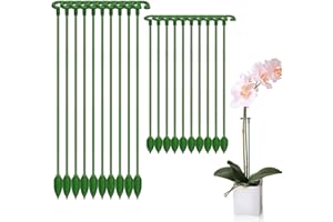 MKEMKA 20Pcs Green Plant Cages Supports with Rings Plant Supports Small Plant Support Stakes for Small Vegetables Indoor and Outdoor Plants Peonies Garden Stakes and Supports