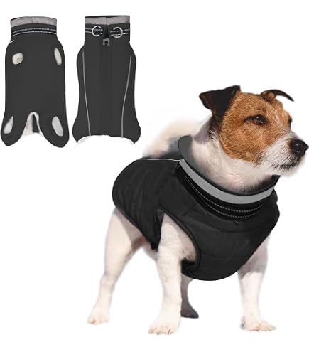 hundebett fürs auto kofferraum Autohundebett Dual für Kofferraum schwarz-grau – Feine Pfote main image 1