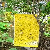 ★ [Aplicación] La etiqueta se puede cortar en diferentes tamaños para adaptarse a diferentes entornos dependiendo del entorno.Ahorra espacio y utiliza cada pegatina. Ideal para flores y vegetales, plantas de interior, invernaderos, balcones, invernaderos, áreas al aire libre, etc.