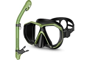 Honlanor Snorkel Set Adults Snorkeling Gear Anti-Leak and Anti-Fog Tempered Glass Lens Panoramic View Swim Mask Dry Top Snorkel Kit for Snorkeling Scuba Diving Swimming Travel with Carry Bag