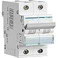 Hager Miniature Circuit Breaker Double Pole 40A 6Ka Dp Mcb Type C Mcn240 *Onekonekt*
