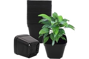 GGOUPTY Plastic Square Plant Pots 10 cm 25 Pcs Succulent Planter Nursery Pots for Flower Staring Seedling