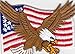 Produktbild Aufnäher Bügelbild Aufbügler iron on Patch USA Flagge Weißkopfseeadler Symbol