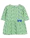 Beebay Infant-girl 100% Cotton Knitted Lime Chevron Dress (D0716206103752_Green_6-9 Months) RS.417.00