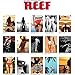 Produktbild Reef Miss Reef Kalender 2016