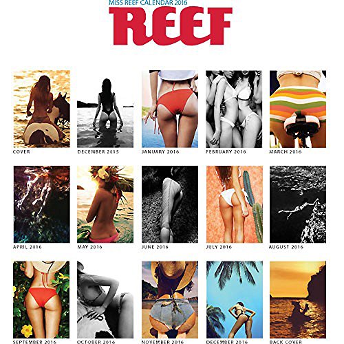 Preisvergleich Produktbild Reef Miss Reef Kalender 2016