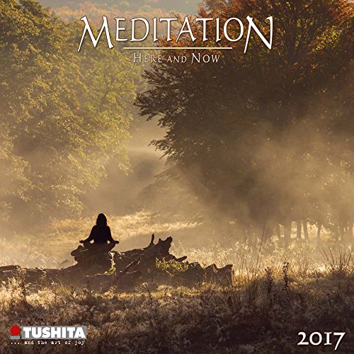 Meditation Here and Now 2017: Kalender 2017 (Mini Calendars)