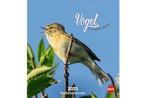 Vögel in unseren Gärten Postkartenkalender 2025: Ein kleiner Kalender zum Aufstellen und Aufhängen mit den 12 häufigsten Gartenvogelarten. ... zum Heraustrennen. (Postkartenkalender Heye)