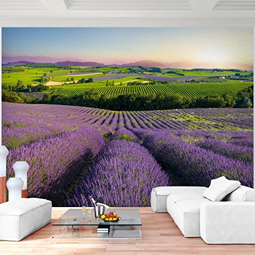 Fototapete Provence 308 x 220 cm - Vliestapete - Wandtapete - Vlies Phototapete - Wand - Wandbilder XXL - !!! 100% MADE IN GERMANY !!! Runa Tapete 9022010b