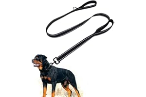 EYELEAF Dog Leads For Large & Medium Dogs - Strong Lead Close Control Handle Heavy Duty Nylon Training Leash Reflective Design