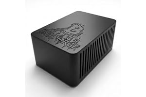 Bitforge Nano Bitcoin Miner, dubbel ASIC BM1370, hashrate 2,5 TH/s | Design med öppen källkod, 12 V, ASIC med låg effekt, justerbar prestanda, fristående webbkontroll, PSU för flera regioner