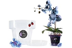 LiveLaif®- Maceta Orquídea Transparente ∅ 15 cm + Plato a Juego | Macetas Plástico | Macetero Para Orquídeas | Elegir Tamaño y Unidades (1, 15 cm)